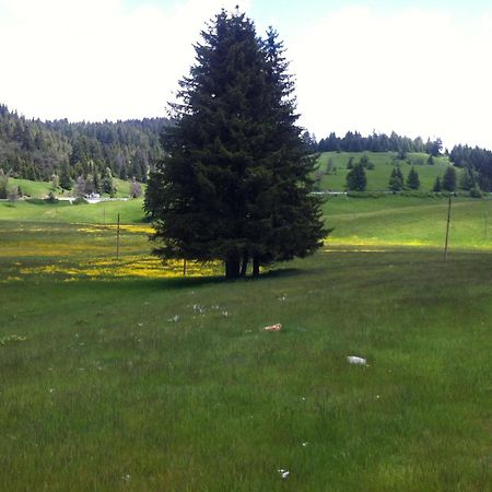 Hotel Coop Rozhen Pamporovo Dış mekan fotoğraf